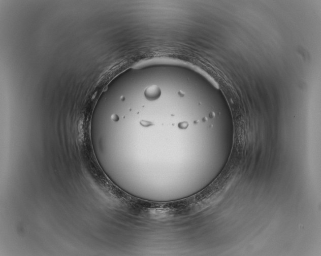 X0000112370216200908271325