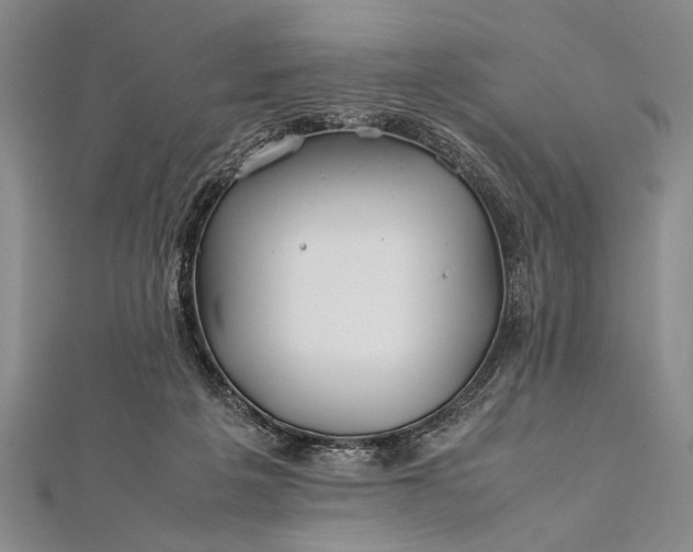 X0000112370217200908271325