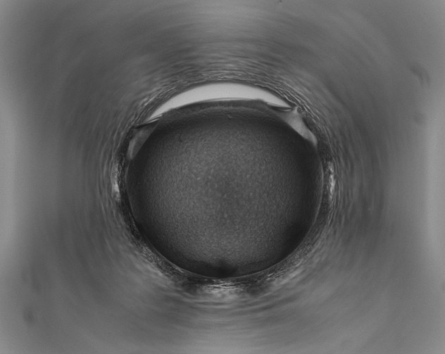 X0000112370219200908271325