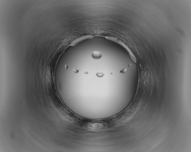 X0000112370220200908271325