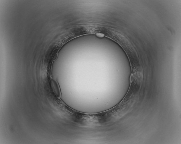 X0000112370221200908271325