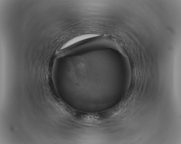 X0000112370223200908271325