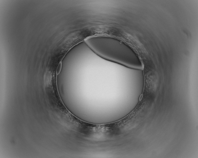 X0000112370225200908271325