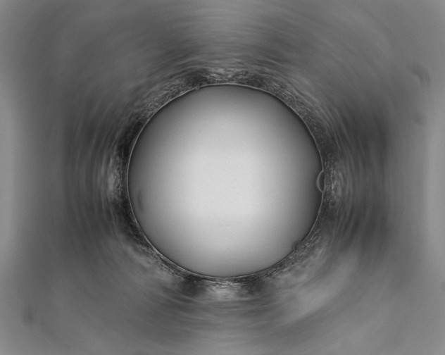 X0000112370226200908271325