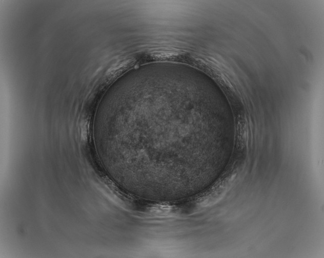 X0000112370227200908271325