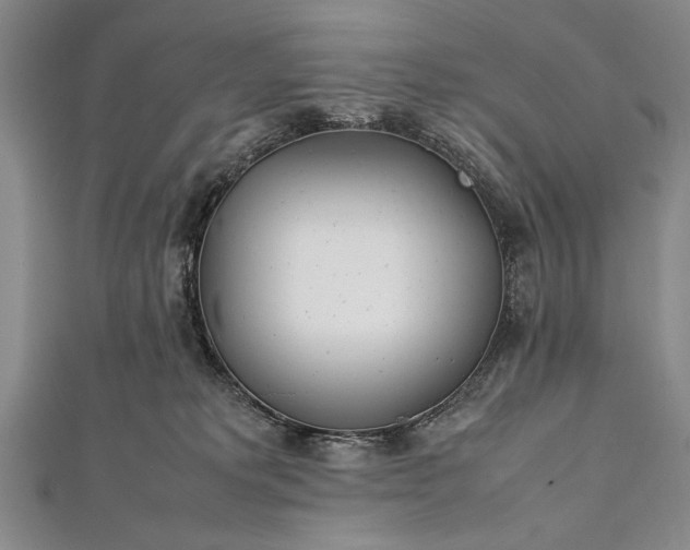 X0000112370229200908271325