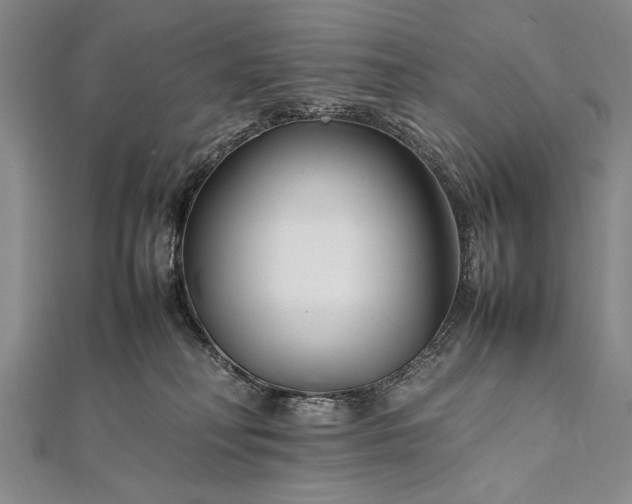 X0000112370230200908271325