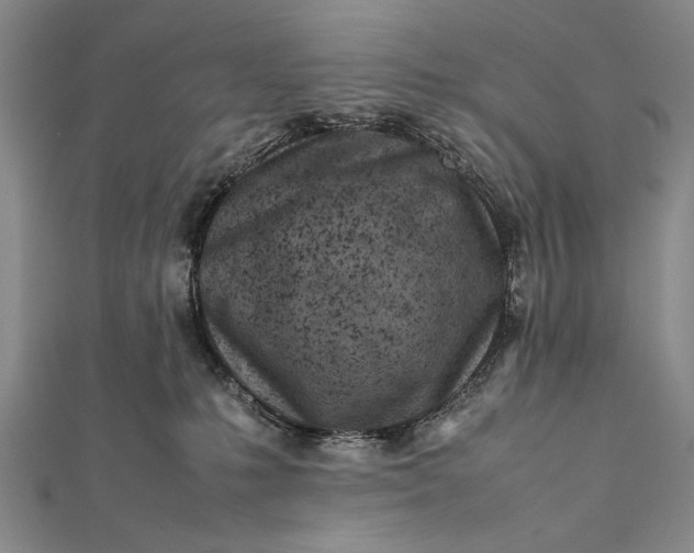 X0000112370231200908271325