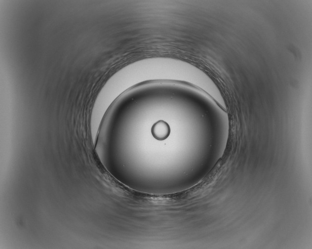 X0000112370233200908271325