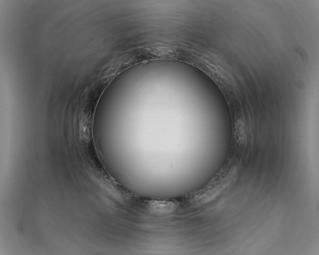 X0000112370234200908271325