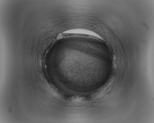 X0000112370235200908271325