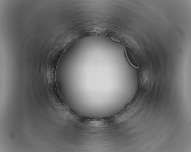 X0000112370236200908271325