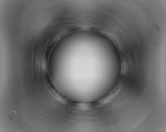 X0000112370238200908271325