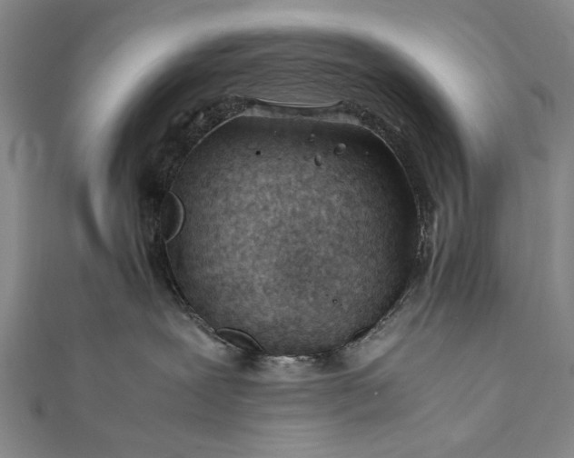 X0000112370239200908271325