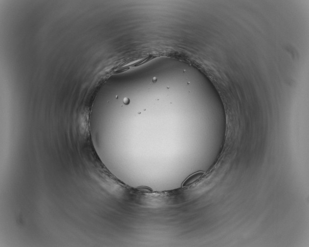 X0000112370240200908271325