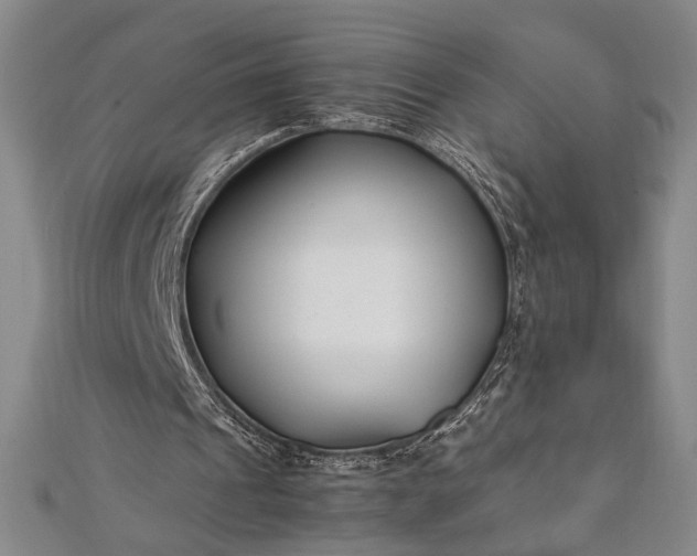 X0000112370241200908271324