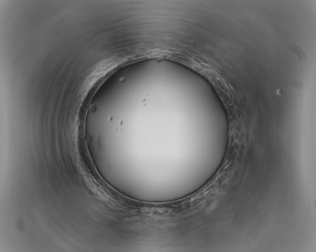 X0000112370242200908271324