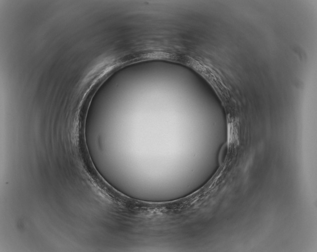 X0000112370243200908271324