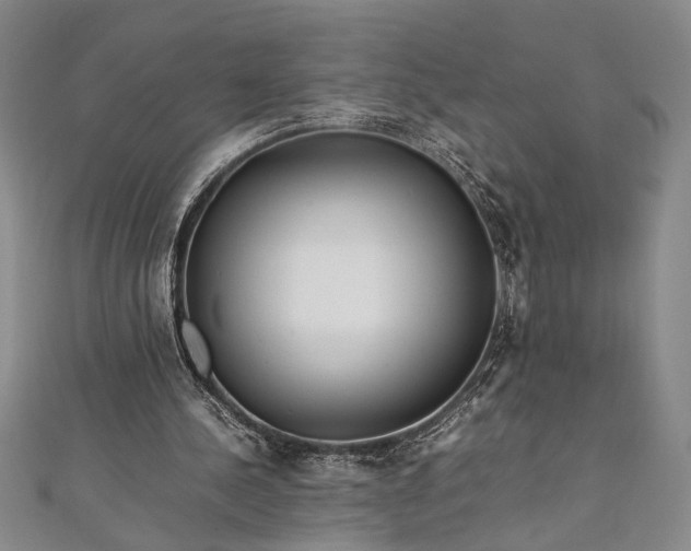 X0000112370244200908271324