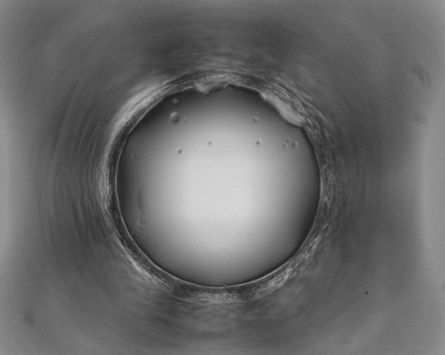 X0000112370245200908271324