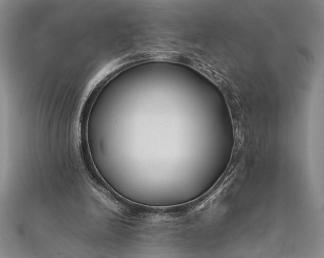 X0000112370246200908271324