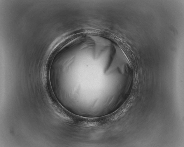 X0000112370247200908271324