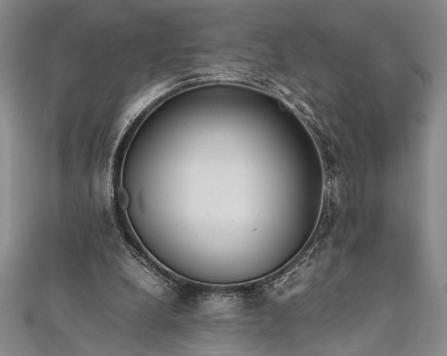 X0000112370248200908271324