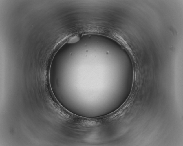 X0000112370249200908271324