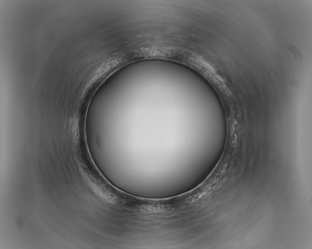 X0000112370250200908271324