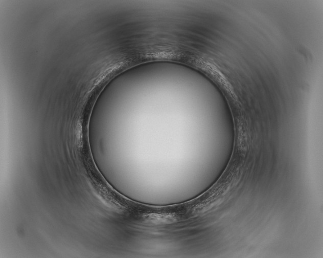 X0000112370251200908271324