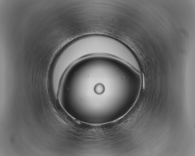 X0000112370252200908271324