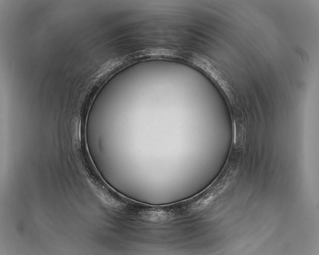 X0000112370253200908271324