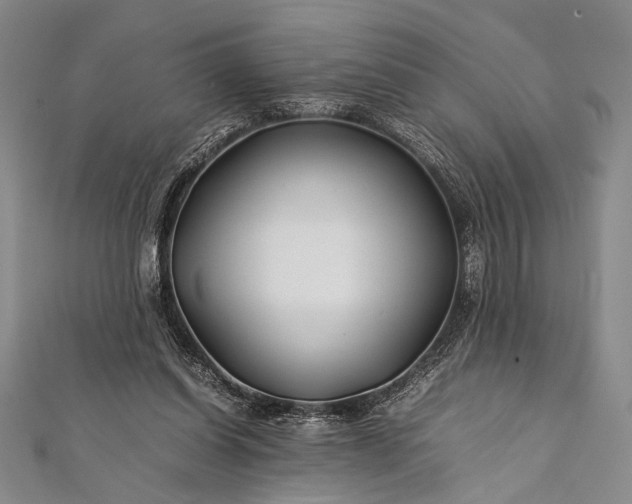 X0000112370254200908271324