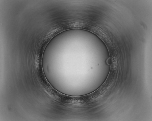 X0000112370255200908271324