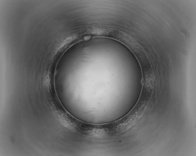 X0000112370256200908271324