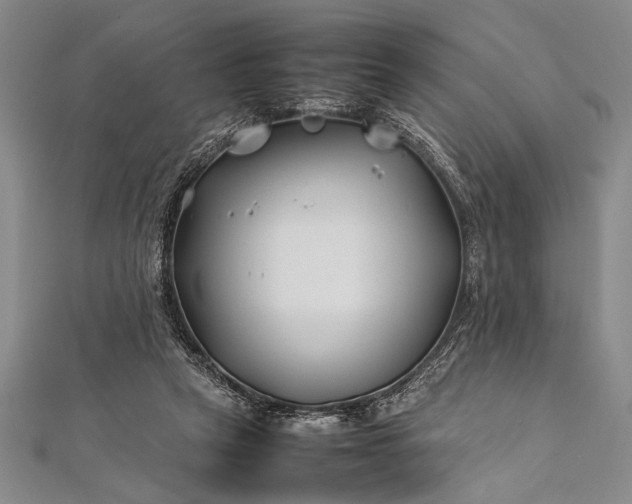 X0000112370257200908271324