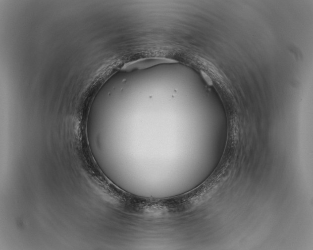 X0000112370258200908271324