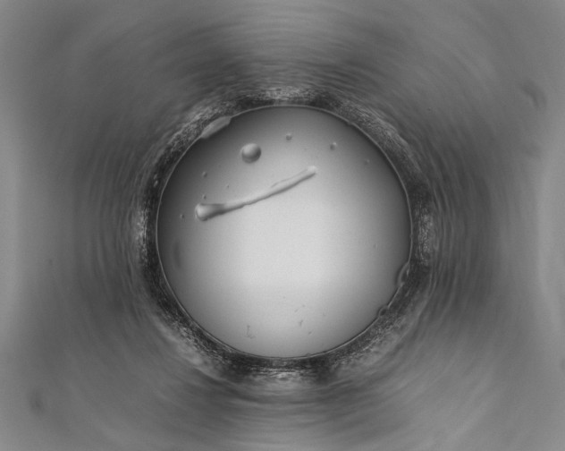 X0000112370260200908271324