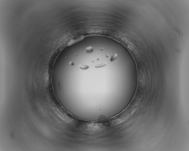 X0000112370261200908271324