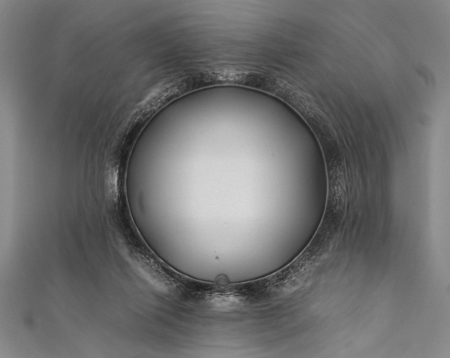 X0000112370262200908271324