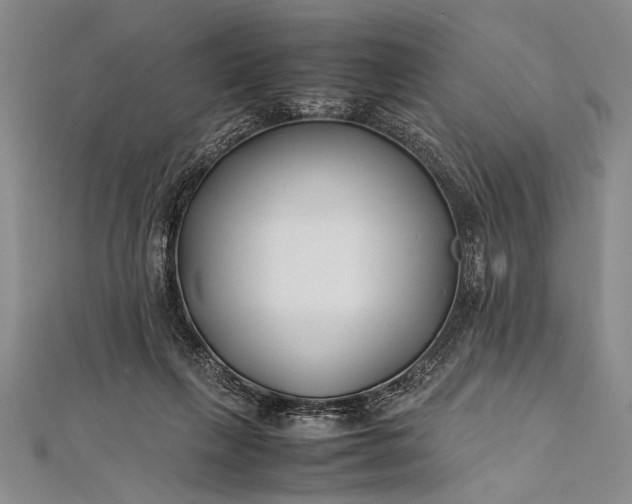 X0000112370263200908271324