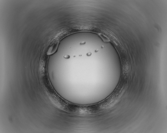 X0000112370264200908271324