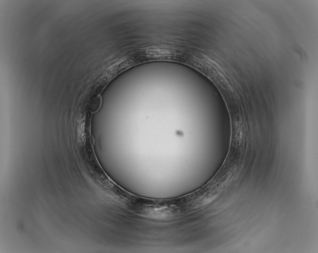 X0000112370267200908271324