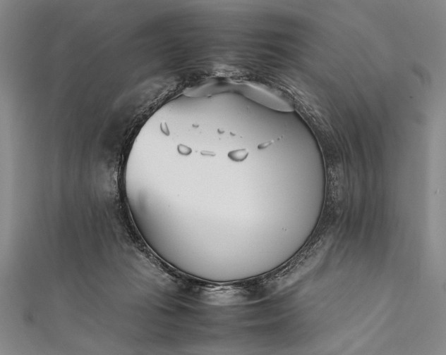 X0000112370269200908271324