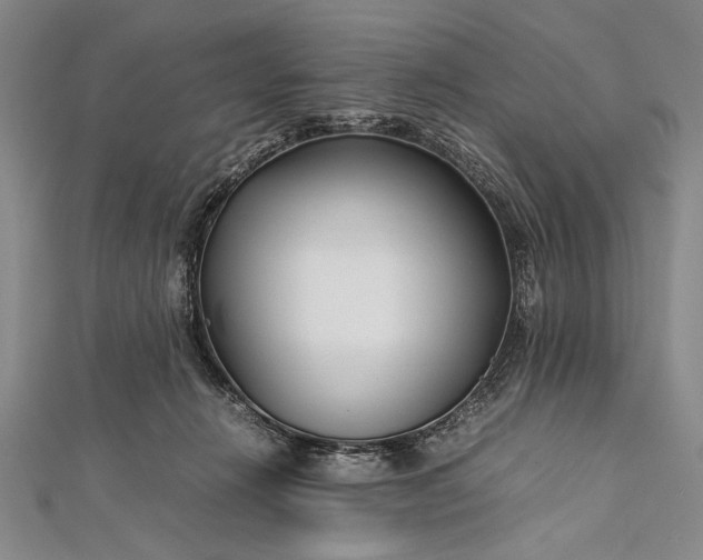 X0000112370270200908271324