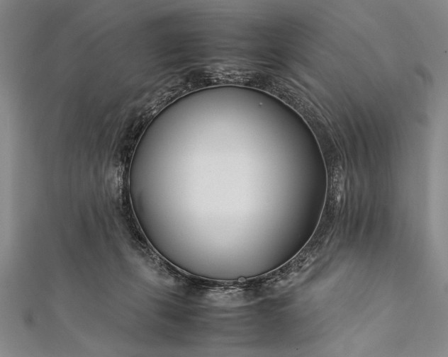 X0000112370271200908271324