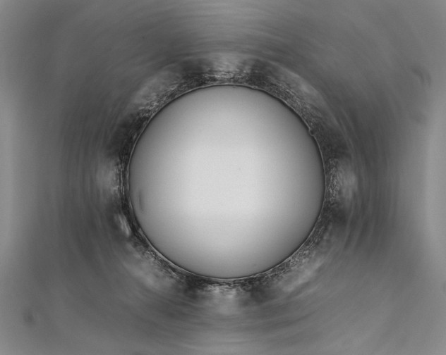 X0000112370272200908271325