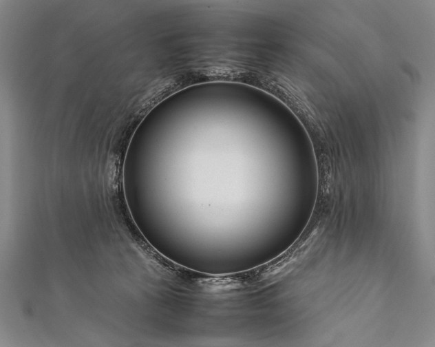 X0000112370273200908271325