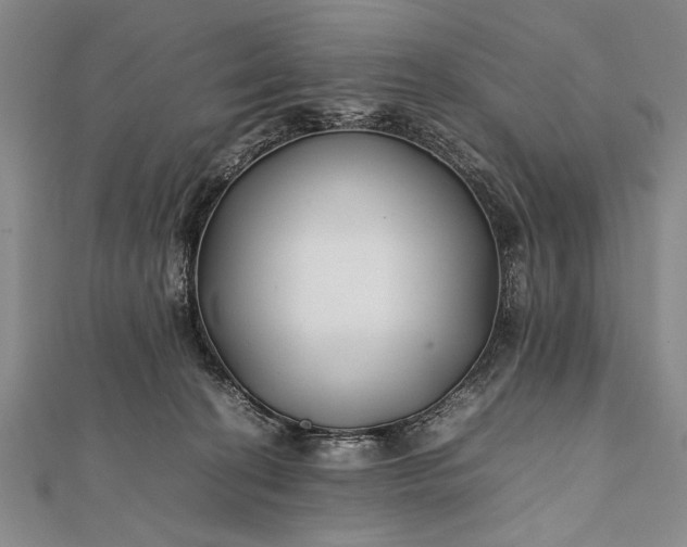 X0000112370274200908271325