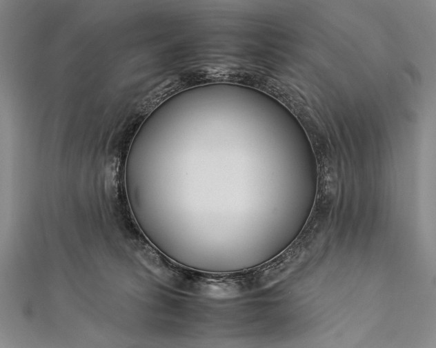 X0000112370275200908271325